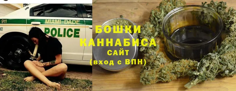 Конопля Bruce Banner  Зима 